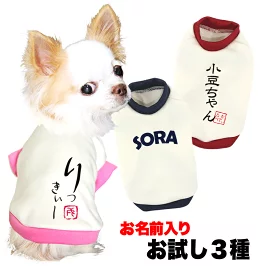 お試し 名入れ【お名前入り★1680円～】